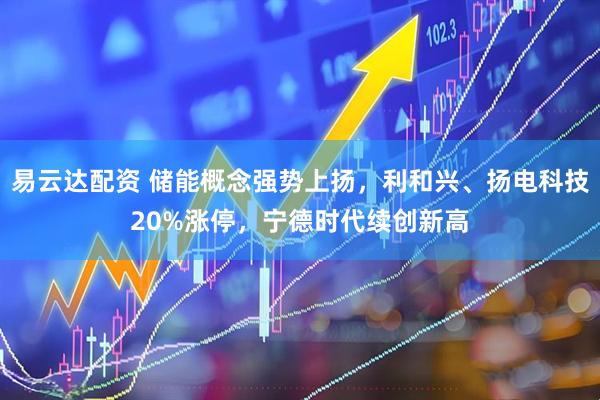 易云达配资 储能概念强势上扬，利和兴、扬电科技20%涨停，宁德时代续创新高