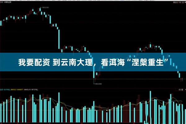我要配资 到云南大理，看洱海“涅槃重生”